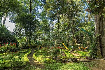 Children's play area - outdoor