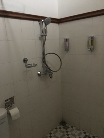 Bathroom shower