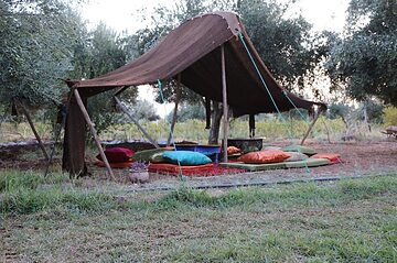 BBQ/picnic area