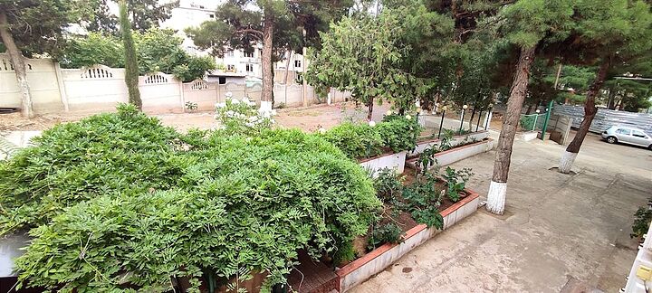 Courtyard view