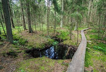 Hiking