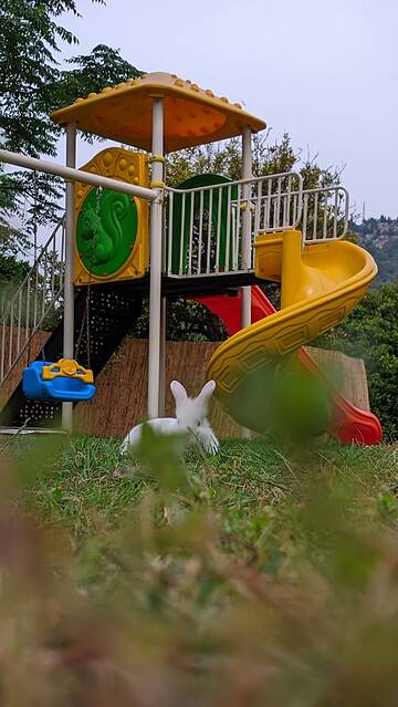 Children's play area - outdoor