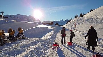 Sledding