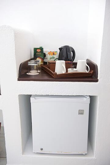 Mini-refrigerator