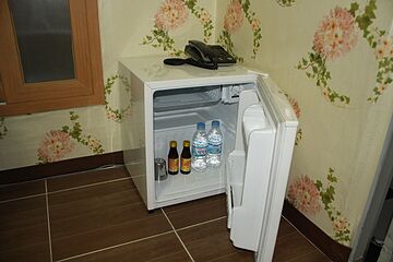 Mini-refrigerator