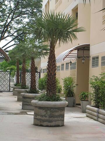 Outdoor banquet area