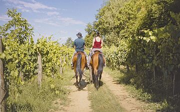 Horseback riding