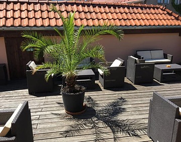 Sundeck
