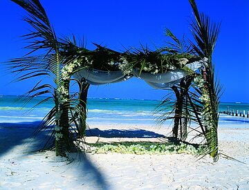 Outdoor wedding area