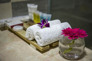 Bathroom amenities