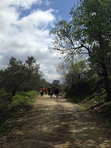 Hiking