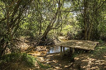 Natural pool