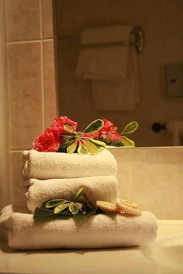 Bathroom amenities