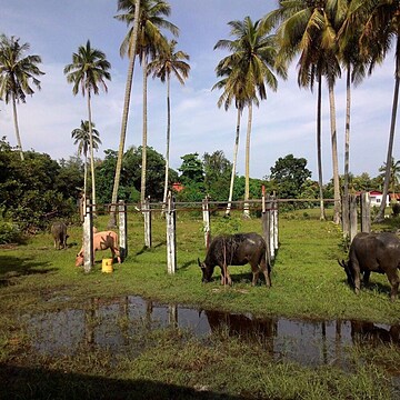 View from room