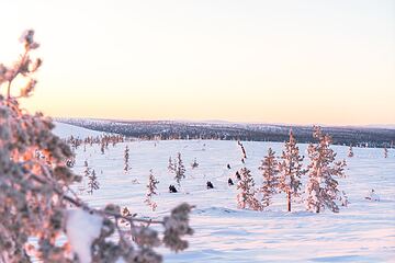 Snowmobiling