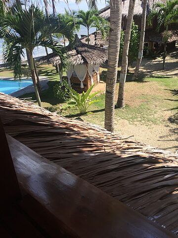 View from room