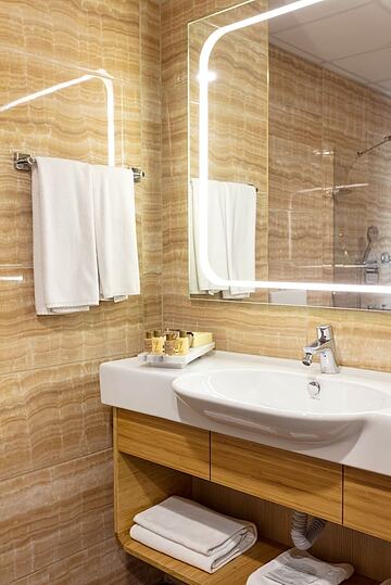 Bathroom sink