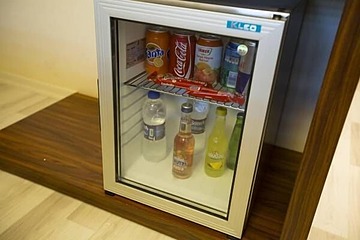 Mini-refrigerator