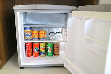 Mini-refrigerator