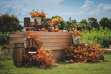 Outdoor wedding area