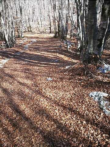 Hiking