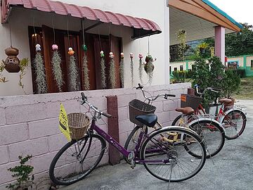 Bicycling
