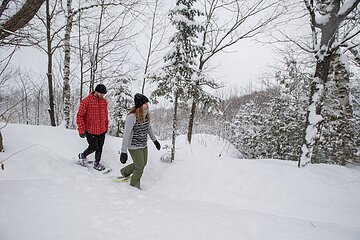 Snowshoeing