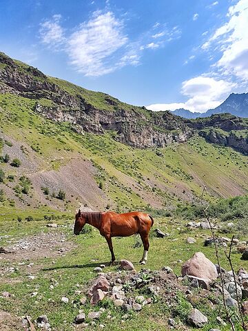 Horseback riding