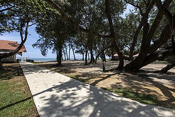 Beach/ocean view